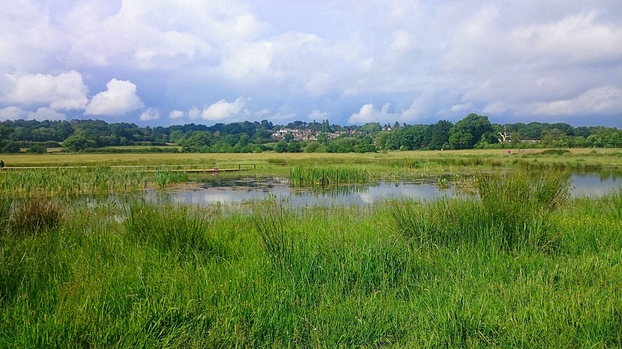 View of Bytheway Field