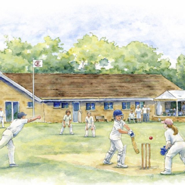 Children playing cricket