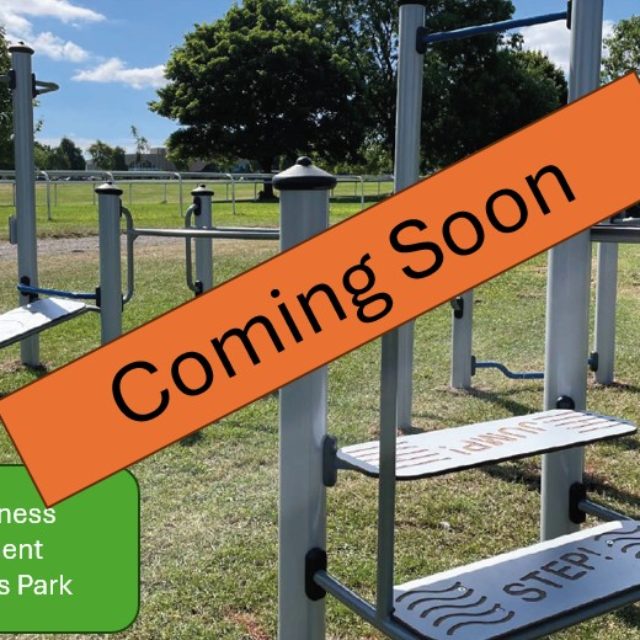 Adult Fitness Equipment