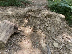 The Dirt photo taken July 25