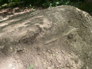 The Dirt photo taken July 25