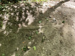 The Dirt photo taken July 25