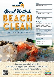 Great British Beach Clean PDF Poster