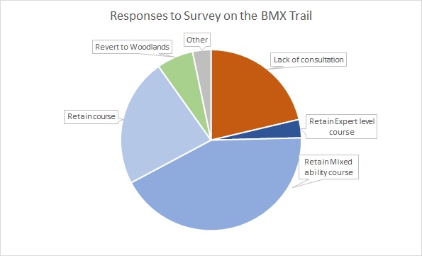 Pie chart with survey results