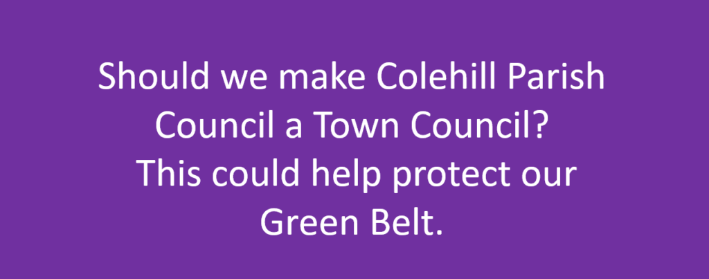 Town Coversion Survey