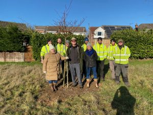 Tree Planting at Olivers